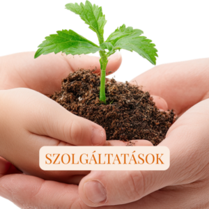 Szolgáltatások