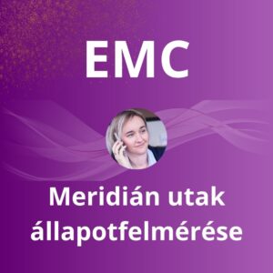 EMC meridián állapotfelmérés – hagyományos kínai szemlélettel