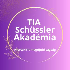 TIA Schüssler Akadémia (havi)